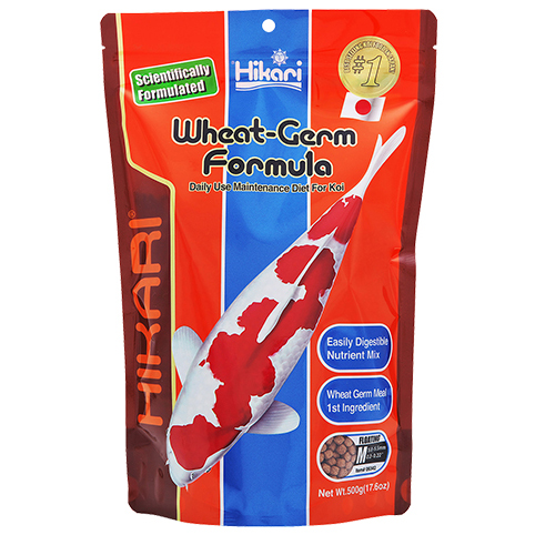 Hikari-Wheat-germ-Medium-500g