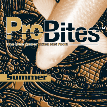 Probites-summer