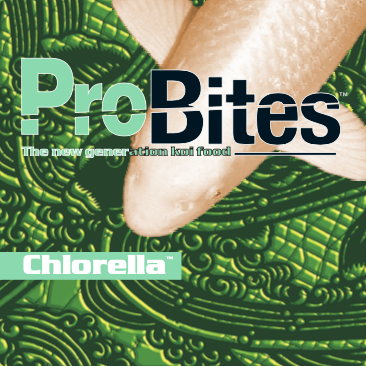 probites-chlorella