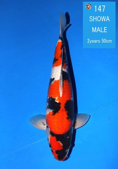 25324745-43c1-42d8-b7c6-072bf3e799ee