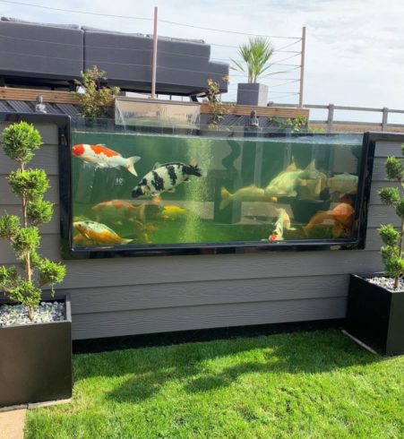 koi tank